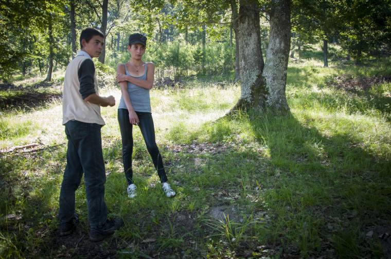 Lőfegyvert használt az erdész