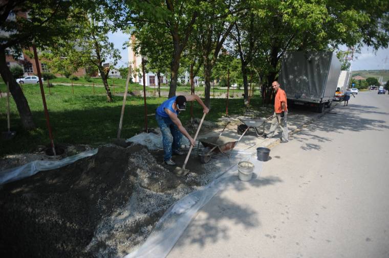 Kutyapark készül Udvarhelyen