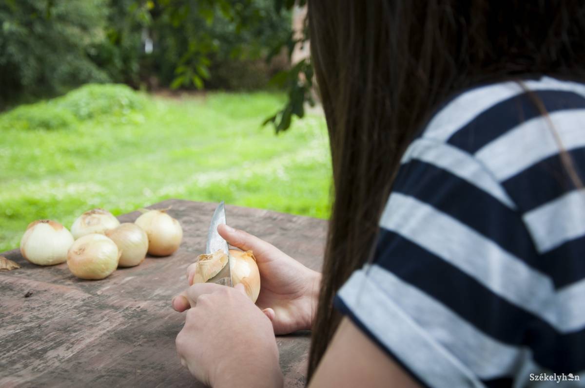 • Fotó: Lukácsi Lehel