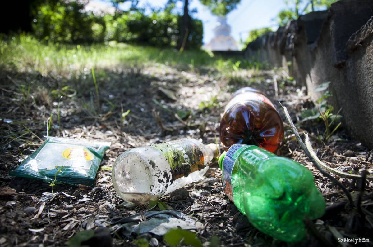 • Fotó: Lukácsi Lehel