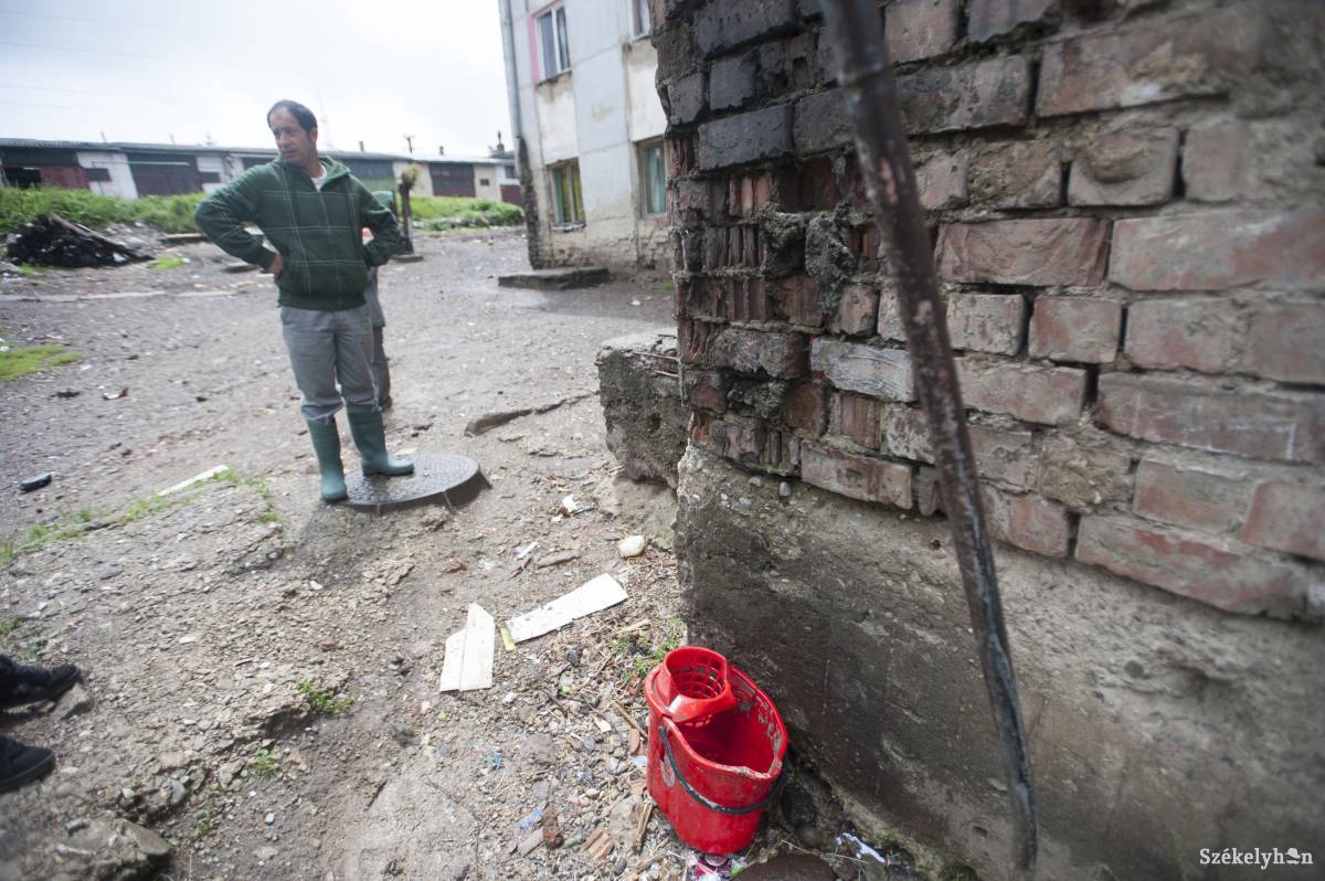 &bullet;  Fotó: Thomas Campean