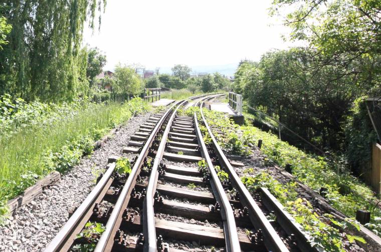 Fiatal férfi holttestére bukkantak