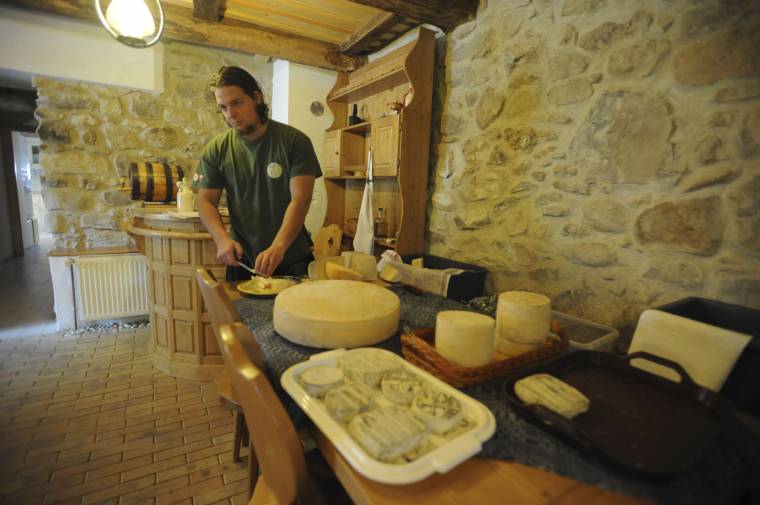 Sajtos vidéki kaland