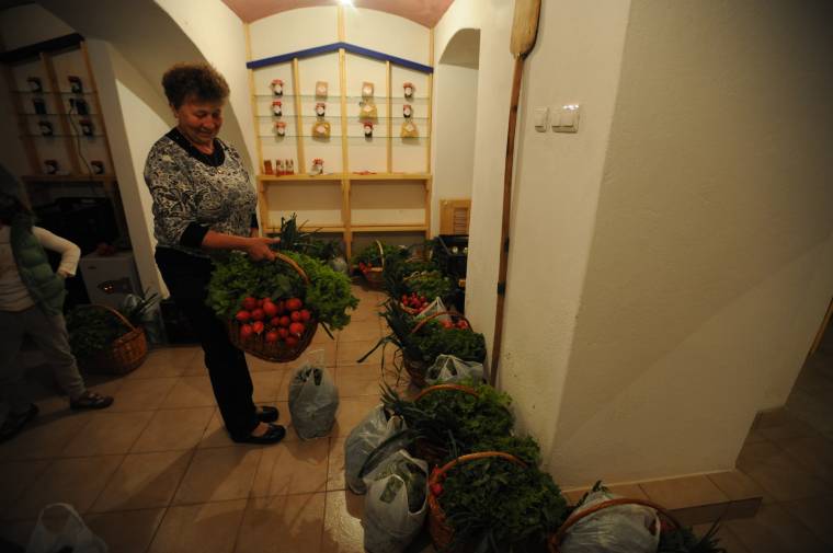 Viruló közösségi projekt