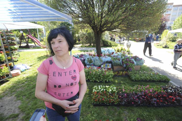 Virágkiállítás Udvarhelyen