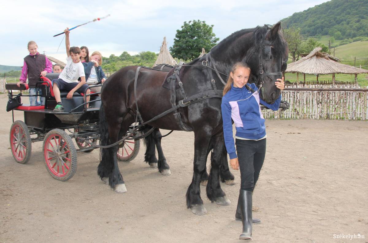 &bullet;  Fotó: Farkas Antal