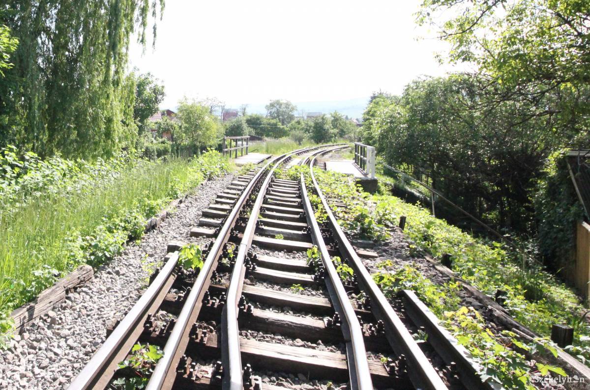 • Fotó: Farkas Antal