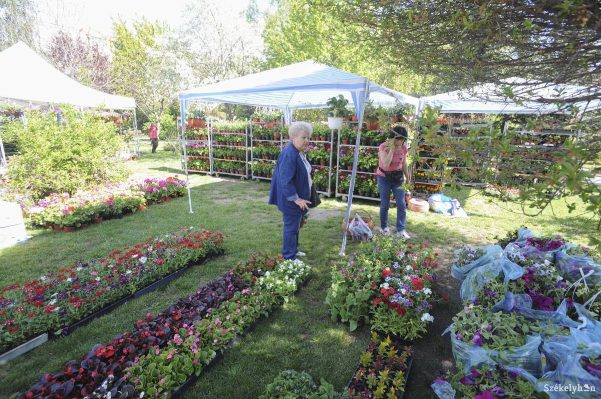 &bullet;  Fotó: Thomas Campean