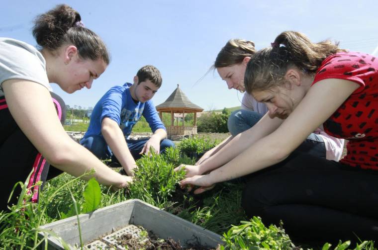 Szórakoztató gazdaság
