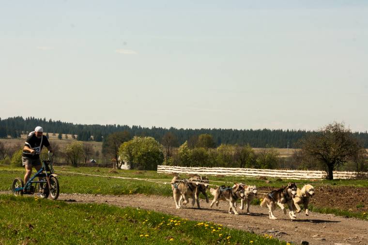 Kutyafogathajtás a Cekend-tetőn