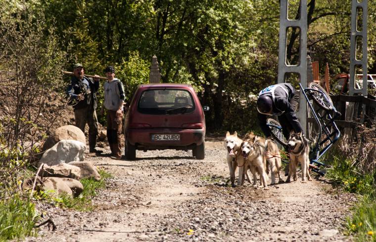 Kerekes fogatokkal versenyeztek