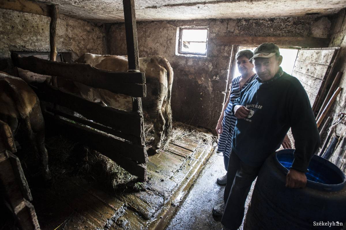 • Fotó: Thomas Campean