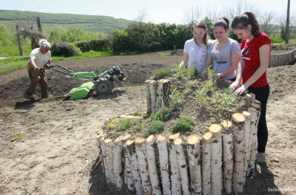 &bullet;  Fotó: Farkas Antal