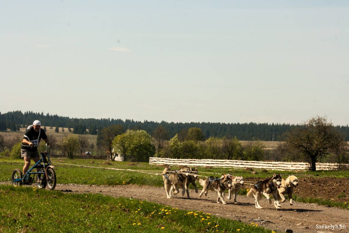 &bullet;  Fotó: Tamás Attila