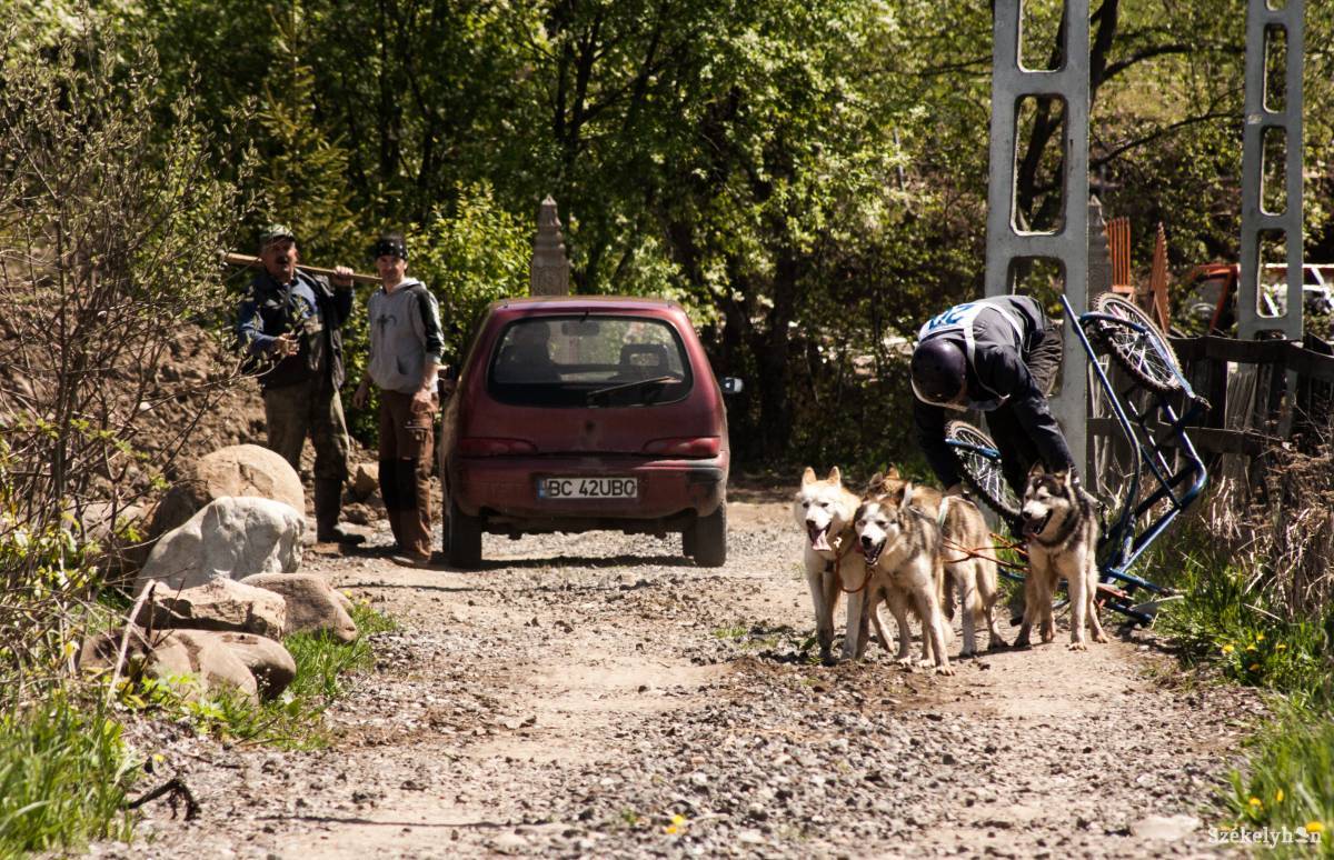 •  Fotó: Tamás Attila