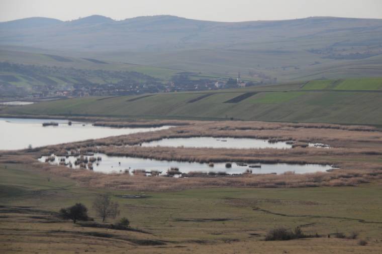 Európai jelentőségű madárpihenő Homoródszentpálon