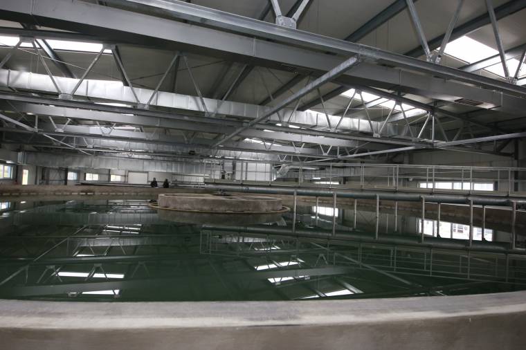 A víztisztító ülepítőjébe fulladt egy férfi