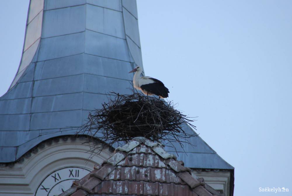 • Fotó: Veres Réka