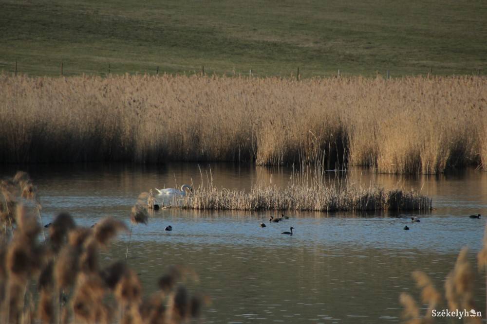 &bullet;  Fotó: Veres Réka
