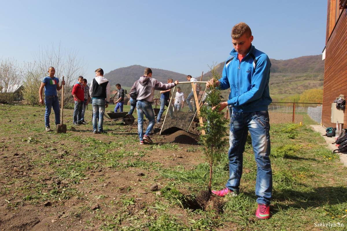 • Fotó: Farkas Antal