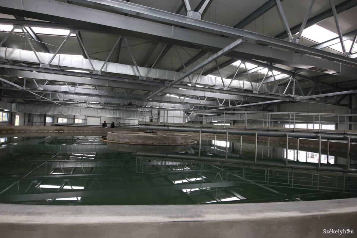 Archív &bullet;  Fotó: Farkas Antal