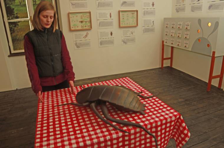 Mindenféle bogarak – kicsiknek, nagyoknak