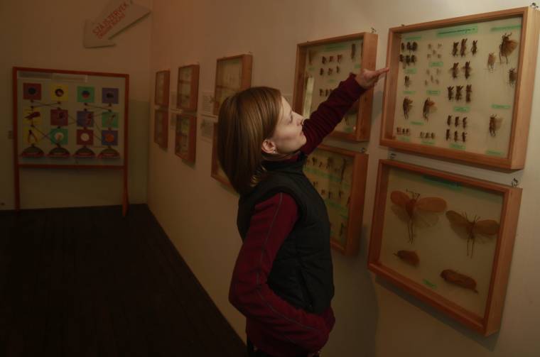 Ezreket vonzottak a hatlábúak