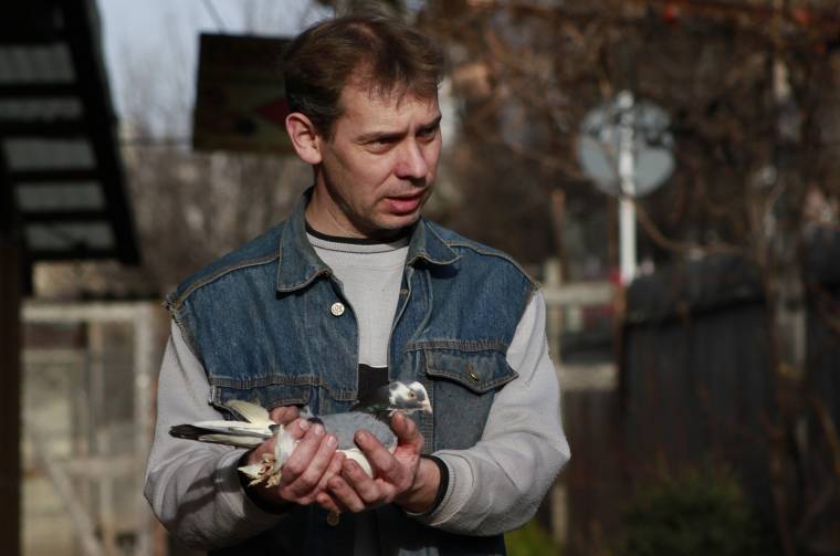 Saját galambfajtája lehet Udvarhelynek