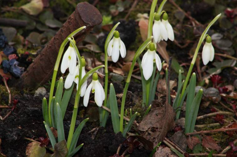 Továbbra is enyhe idő várható