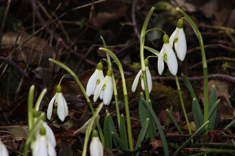 Lefagyhat még az arcunkról a vigyor