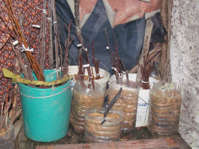 Hozzunk létre Tündérkerteket!