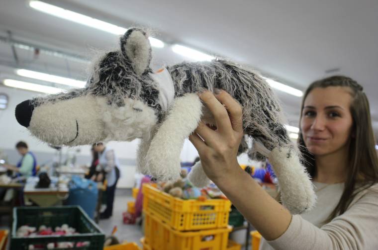 Olimpiai farkasok születnek Székelykeresztúron