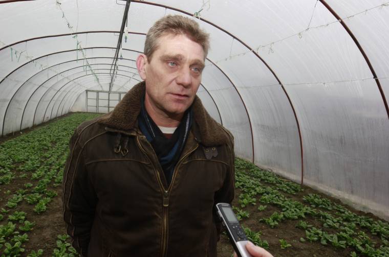 Zöld sziget a télben