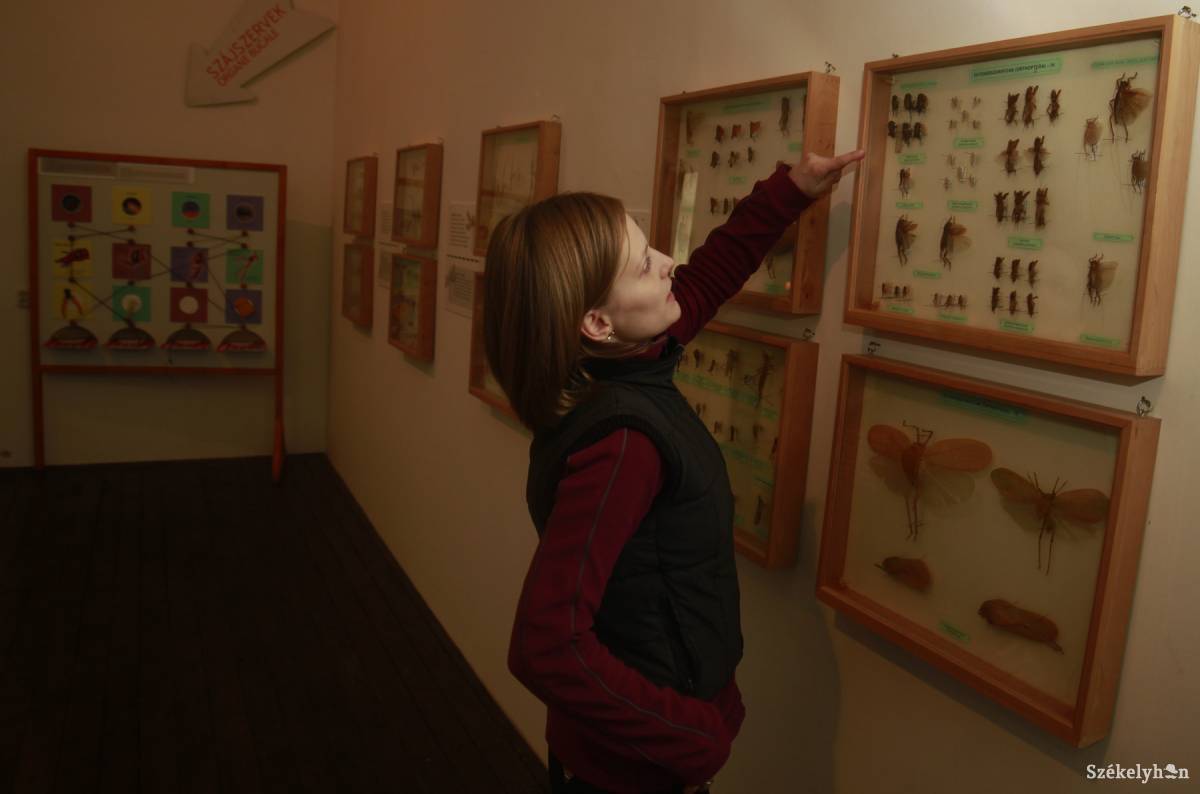 &bullet;  Fotó: Farkas Antal