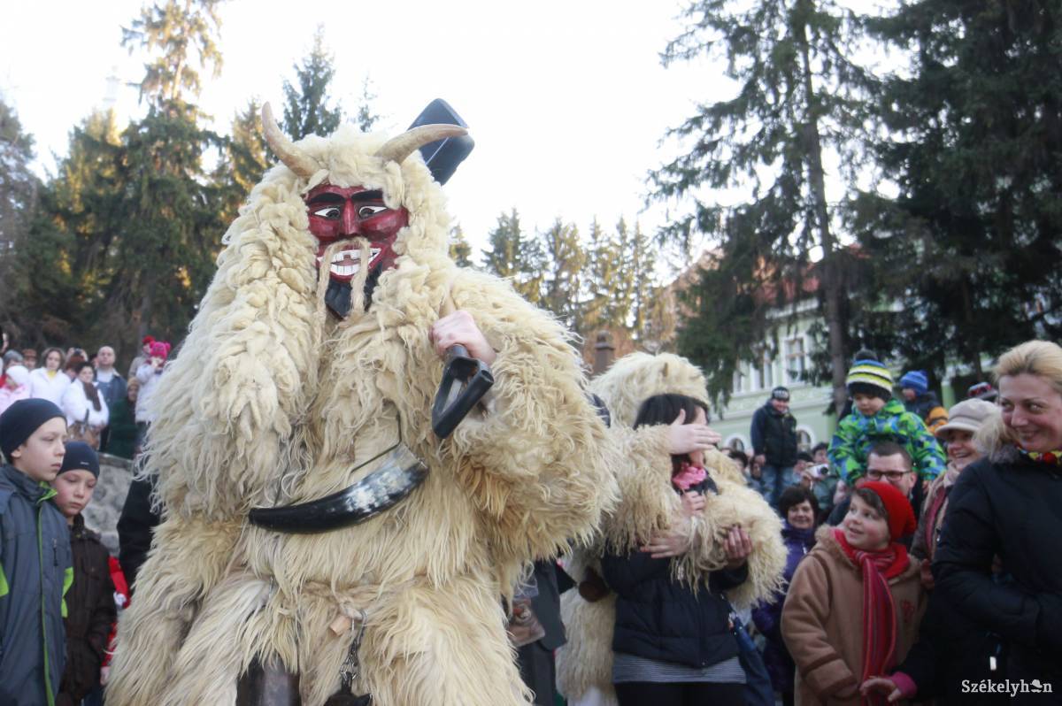 • Fotó: Farkas Antal