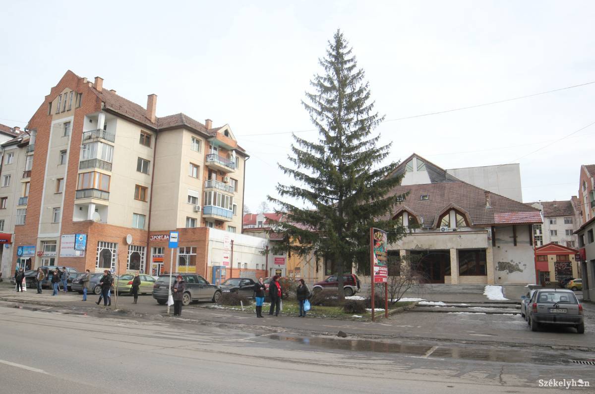 • Fotó: Farkas Antal