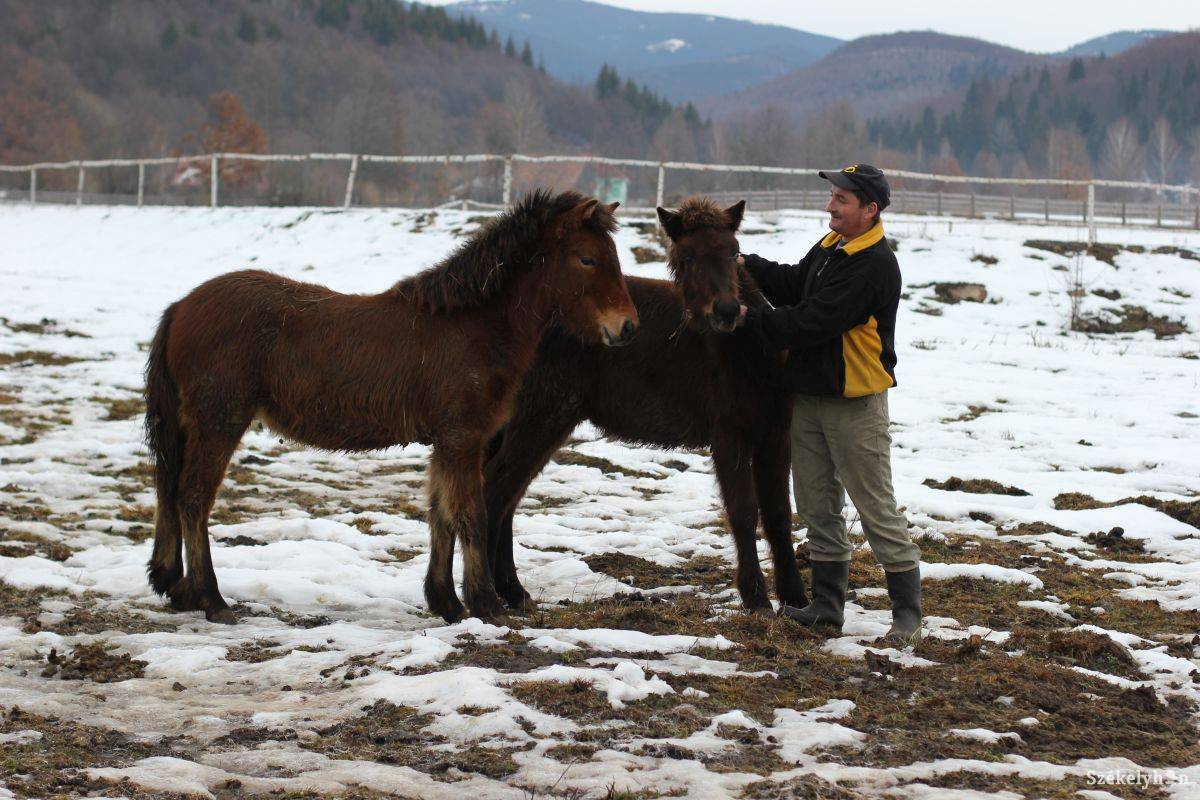 Illusztráció • Fotó: Farkas Antal