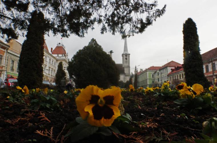 Januári melegrekordok a hőmérőn