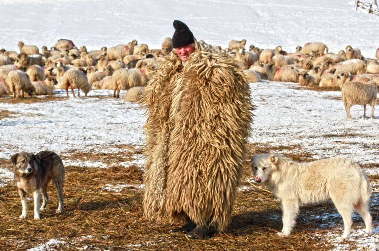 Marakodás a kutyakérdésen