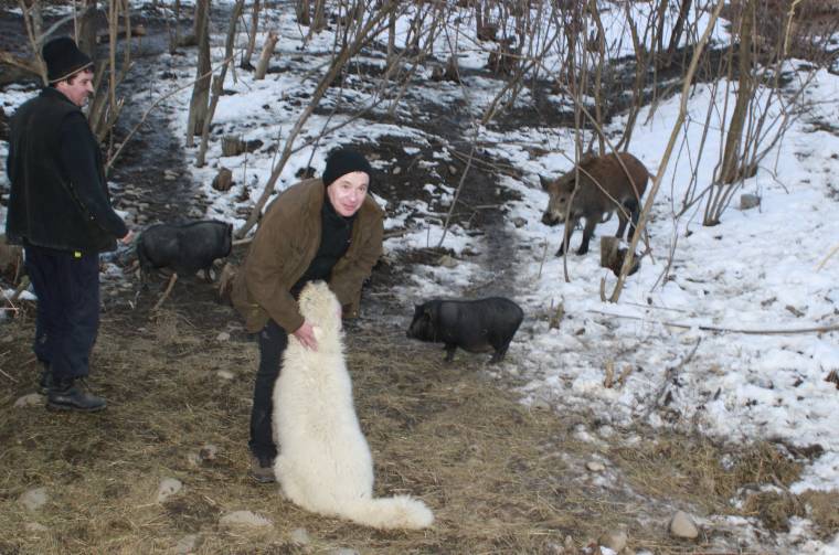„Tudnod kell, hogy mit akarsz!”