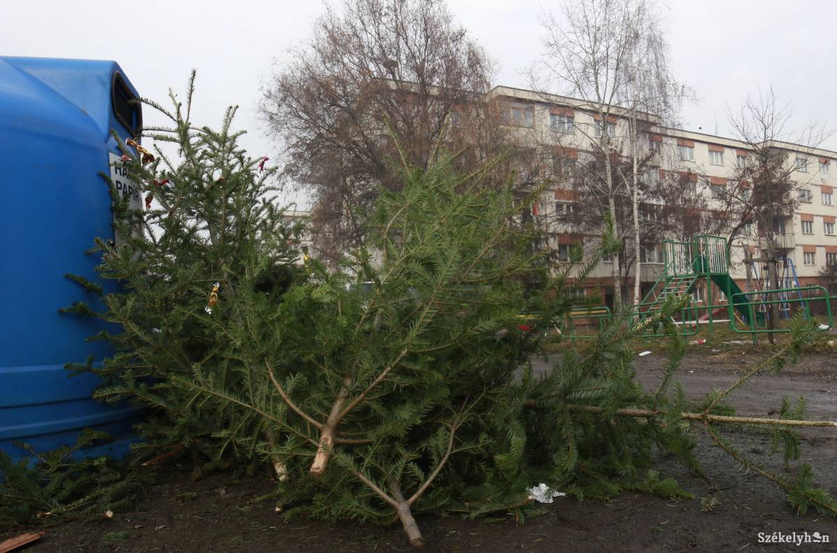 &bullet;  Fotó: Farkas Antal