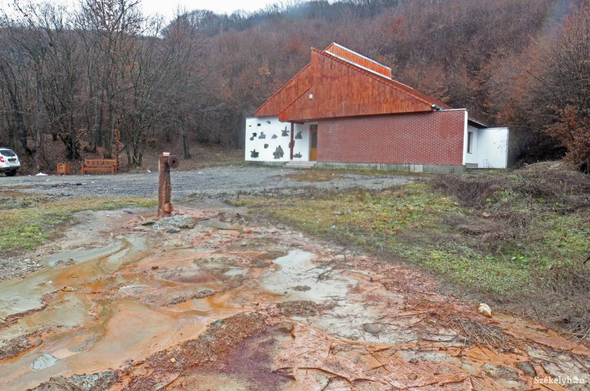 • Fotó: Farkas Antal