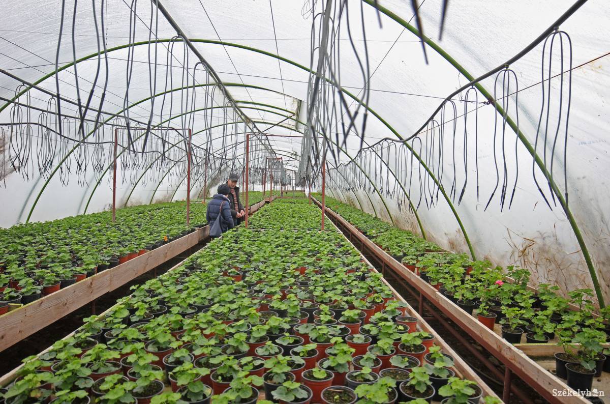 &bullet;  Fotó: Farkas Antal