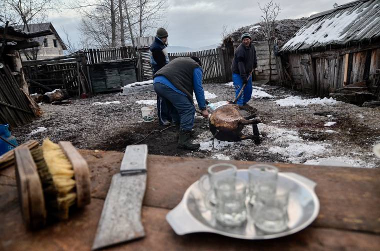 Disznóvágó napot tartanak Hidegségen