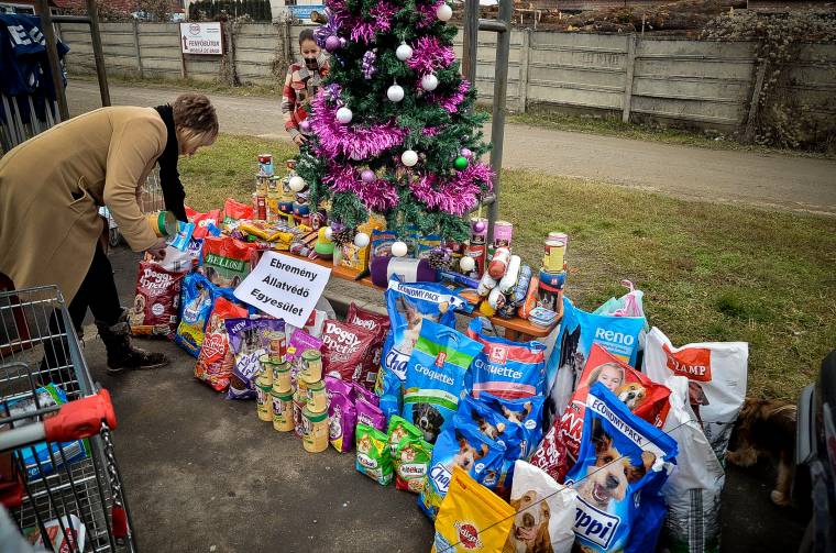 Adományokkal halmozták el az állatvédőket