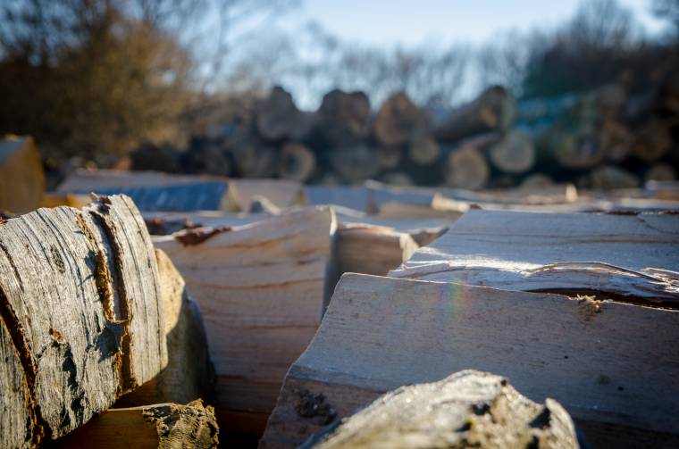 Tíz köbméter tűzifát koboztak el a rendőrök