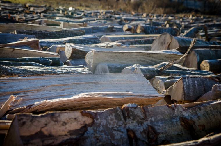 Hargita megyében nem a Romsilva árai a meghatározók