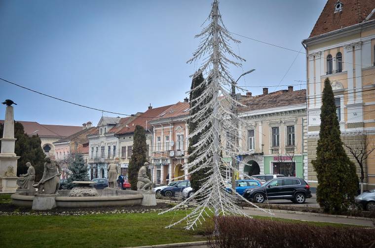 Hagyományos karácsonyfa váltja a műfenyőt