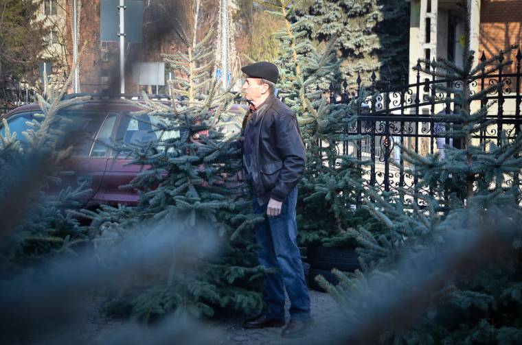 Elkezdődött a karácsonyfavásár Udvarhelyen is