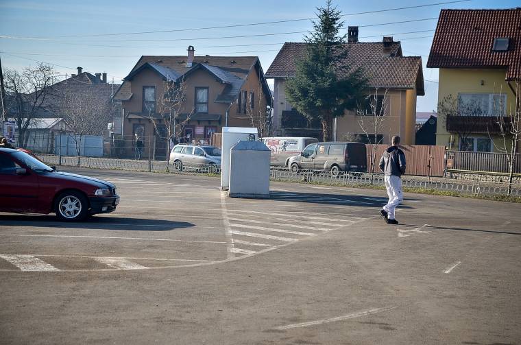 Tüzelőanyag vagy komposzt lesz a fenyőhulladékból